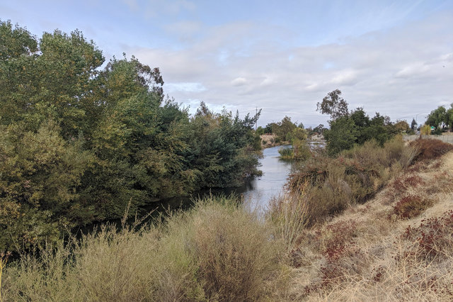 Los Gatos Creek