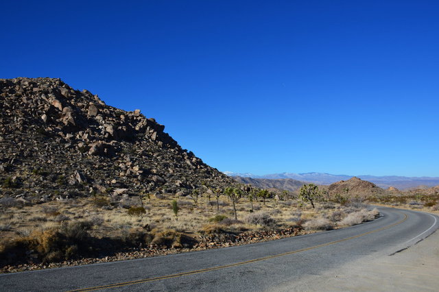 Park Boulevard through Joshua Tree National Park