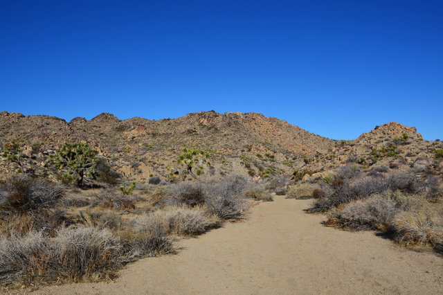 Maze Loop Trail