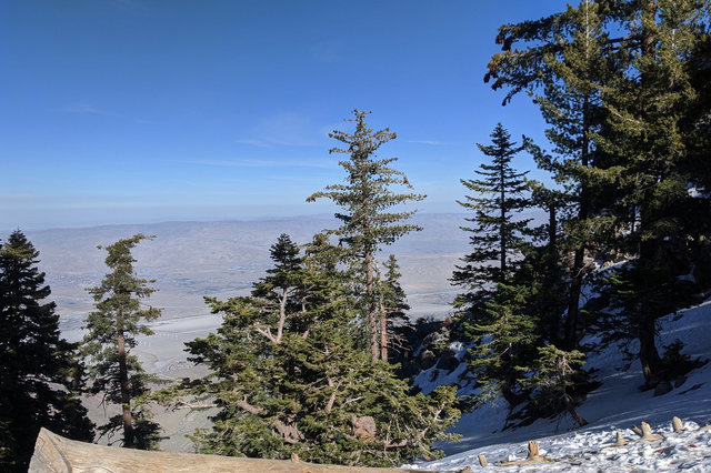 Desert view from Mount San Jacinto State Park