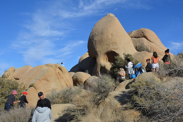 Skull Rock, Joshua Tree National Park