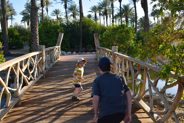 Julian and Calvin run through Shields Date Garden