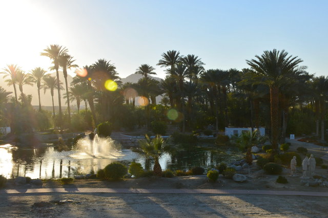 Pool and fountain at Shields Date Garden under the setting sun