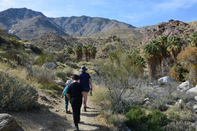 Julian, Calvin, and Kiesa walk up Andreas Canyon