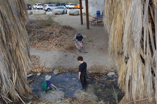 Julian and Calvin play in Andreas Canyon Creek