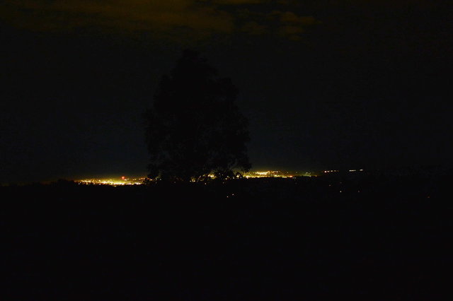 Santa Cruz lights at night