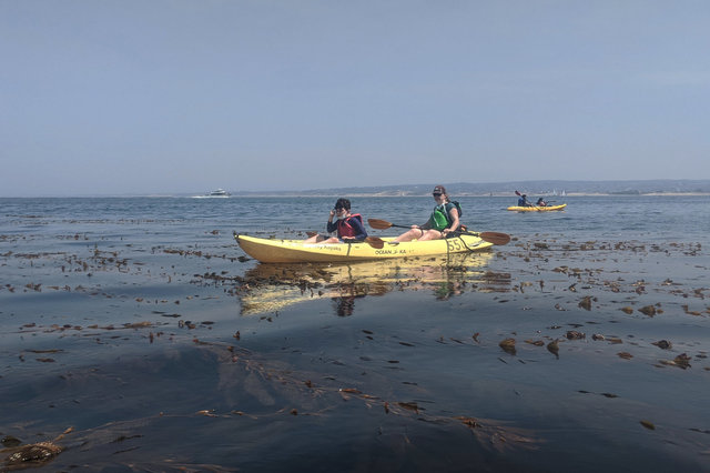 Calvin and Kiesa kayak above a kelp forest