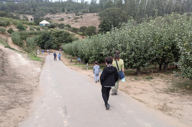 Julian, Calvin, and Kiesa walk into Clearview Orchards