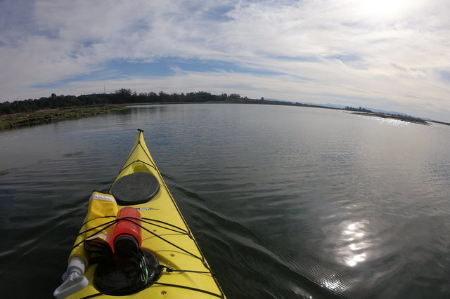 Kayaking in Elkhorn Slough