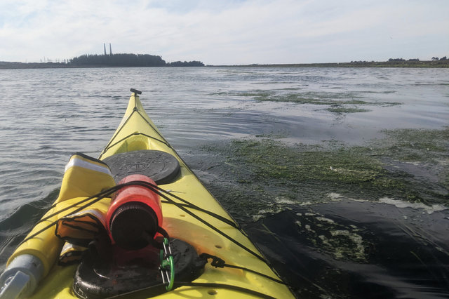 Kayak on Eklhorn Slough approaching Moss Landing Power Plant