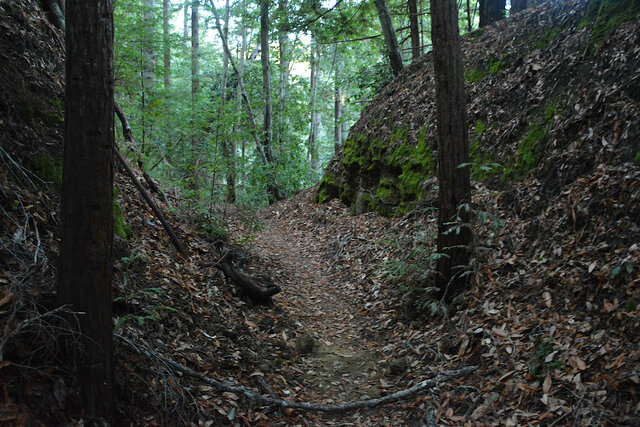 Loma Prieta Grade passes through a cutting