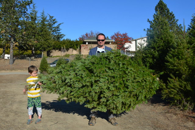 Julian helps Jaeger carry the Christmas tree