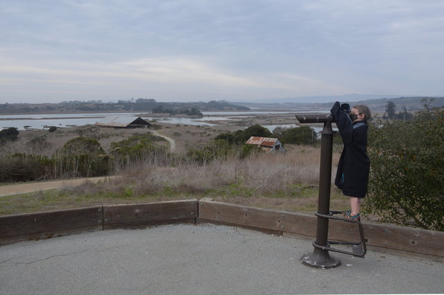 Julian looks through a telescope at Elkhorn Slough