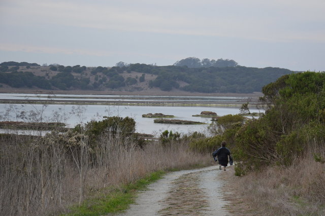 Julian walks down the trail towards the slough