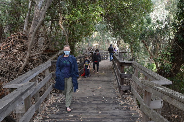 Kiesa, Julian, and Calvin walk in the monarch grove