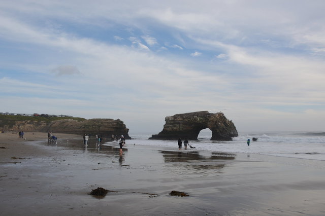 Natural Bridges State Beach