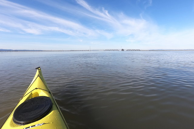 Kayaking towards the Dumbarton bridges