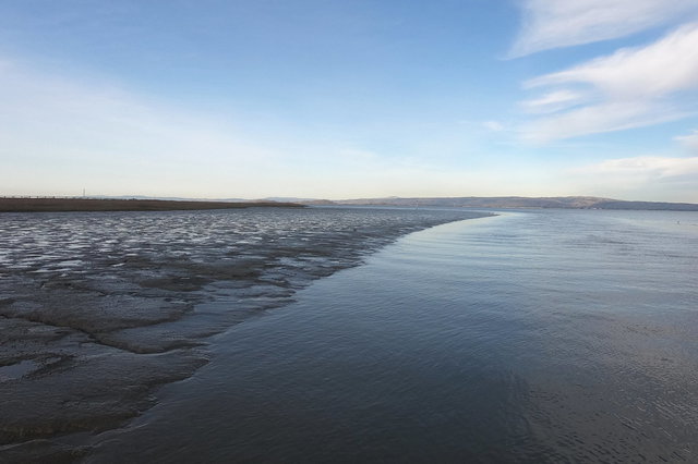 Mud exposed by the tide in San Francisco Bay