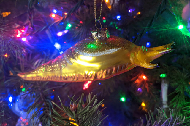 Banana slug ornament