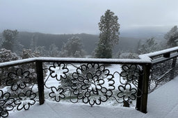 Snow on the ground in the Santa Cruz Mountains