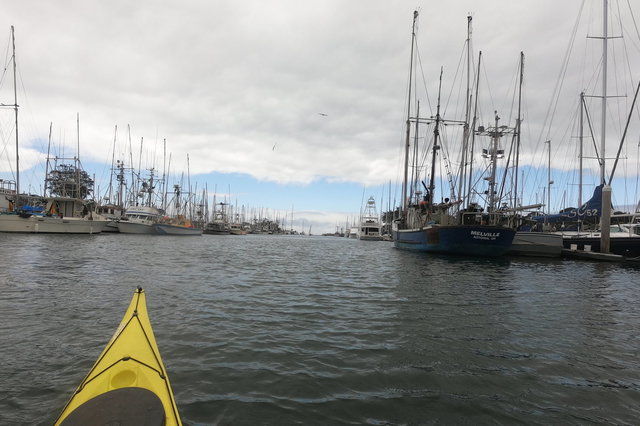 Kayaking out of Santa Cruz Small Craft Harbor