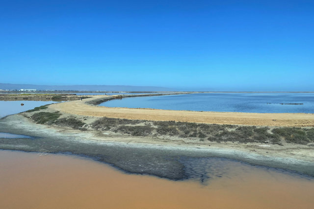 Salt marshes at the south end of San Francisco Bay