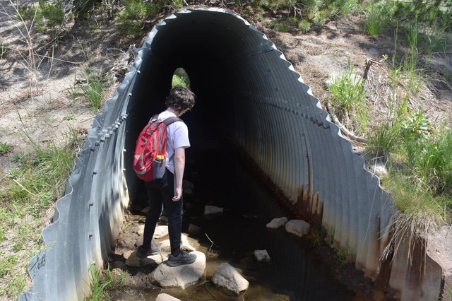 Calvin investigates water in the tunnel