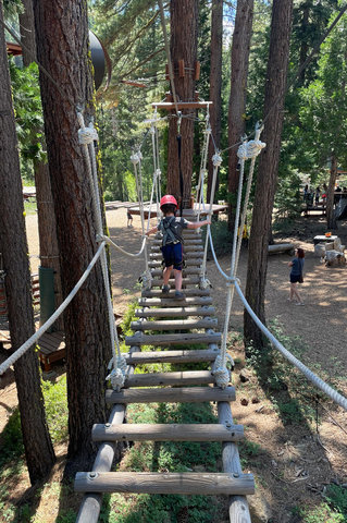 Julian crosses an aerial park bridge