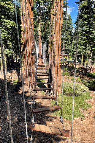 Aerial park bridge 