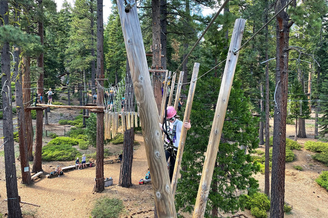 Calvin crosses an aerial park bridge