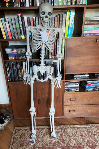 Plastic skeleton in the entry