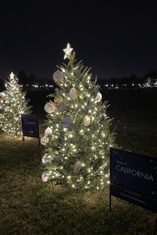 California Christmas tree in DC