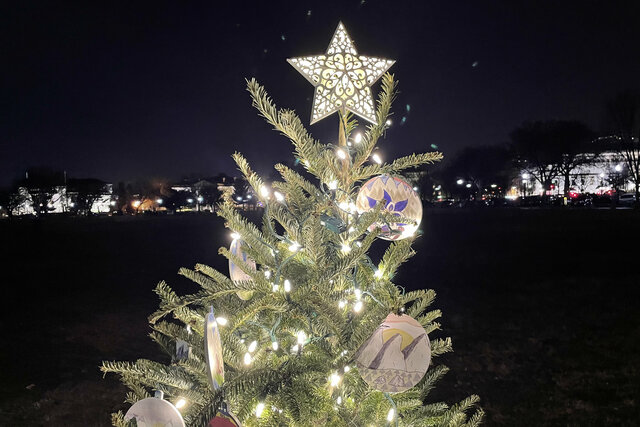 Colorado Christmas tree in DC