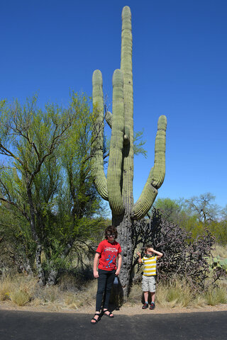 Calvin and Julian with a saguaro cactus