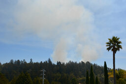 Smoke rises over DeLaveaga Park