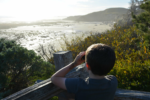 Julian looks at elephant seals at Ano Nuevo State Park