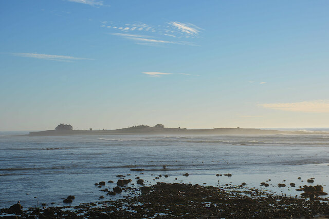 Ano Nuevo Island