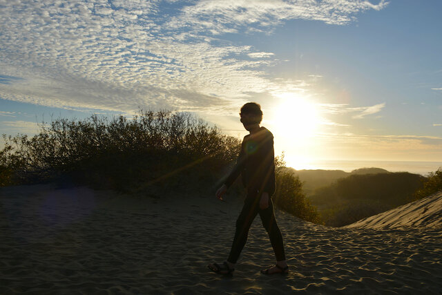 Calvin in the setting sun