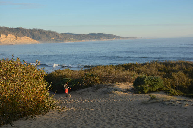 Julian runs on the trail at Ano Nuevo State Park 