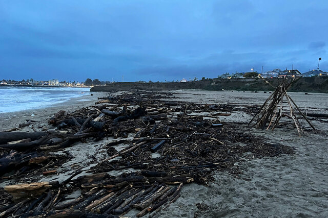 Seabright Beach covered in driftwood