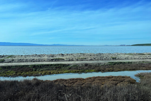 The very end of San Francisco Bay at Alviso