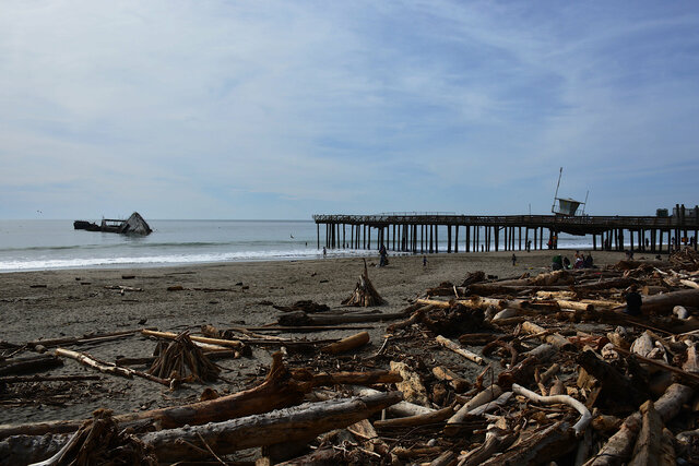Seacliff Beach covered in driftwood after the storm