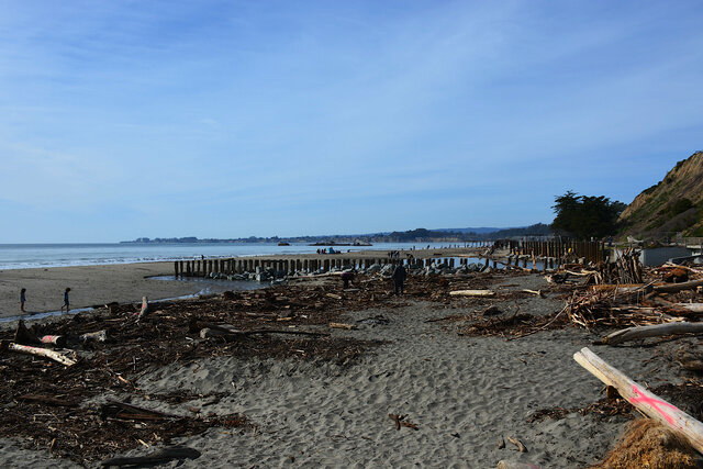 Driftwood on the beach at Rio del Mar