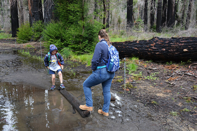 Kiesa helps Julian on the muddy redwood loop trail