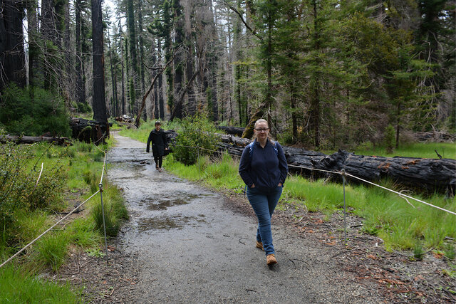 Calvin and Kiesa on the redwood loop trail