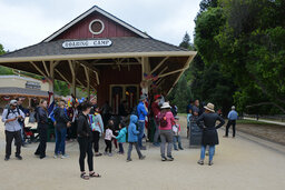 Calvin waits for the Roaring Camp redwood steam train