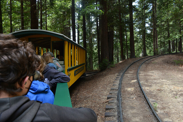 Calvin watches the train descend its first switchback