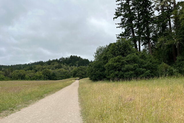 Bear Valley Trail at Point Reyes