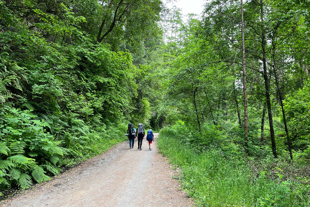 Kiesa, Calvin, and Julian on the Bear Valley Trail