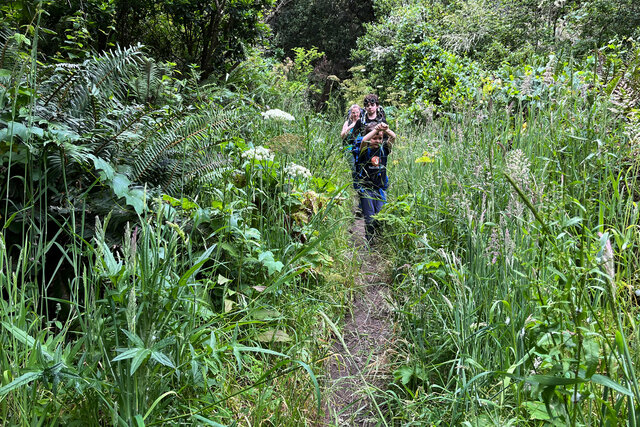 Kiesa, Calvin, and Julian make their way through tall grass